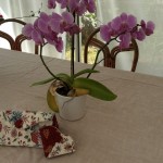 Trousse offerte à Françoise